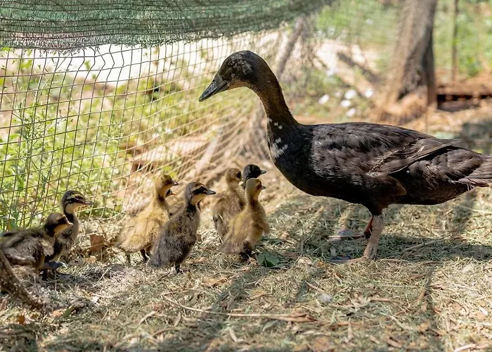 Huerta Del Chacho By Ruralidays * רונדה